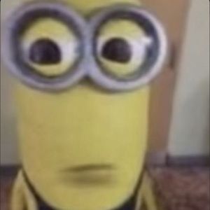 Meet your Posher, Bella